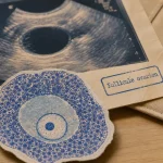 Qu est ce qu un follicule ovarien : ovocyte, ovulation, réserve ovarienne, échographie pelvienne