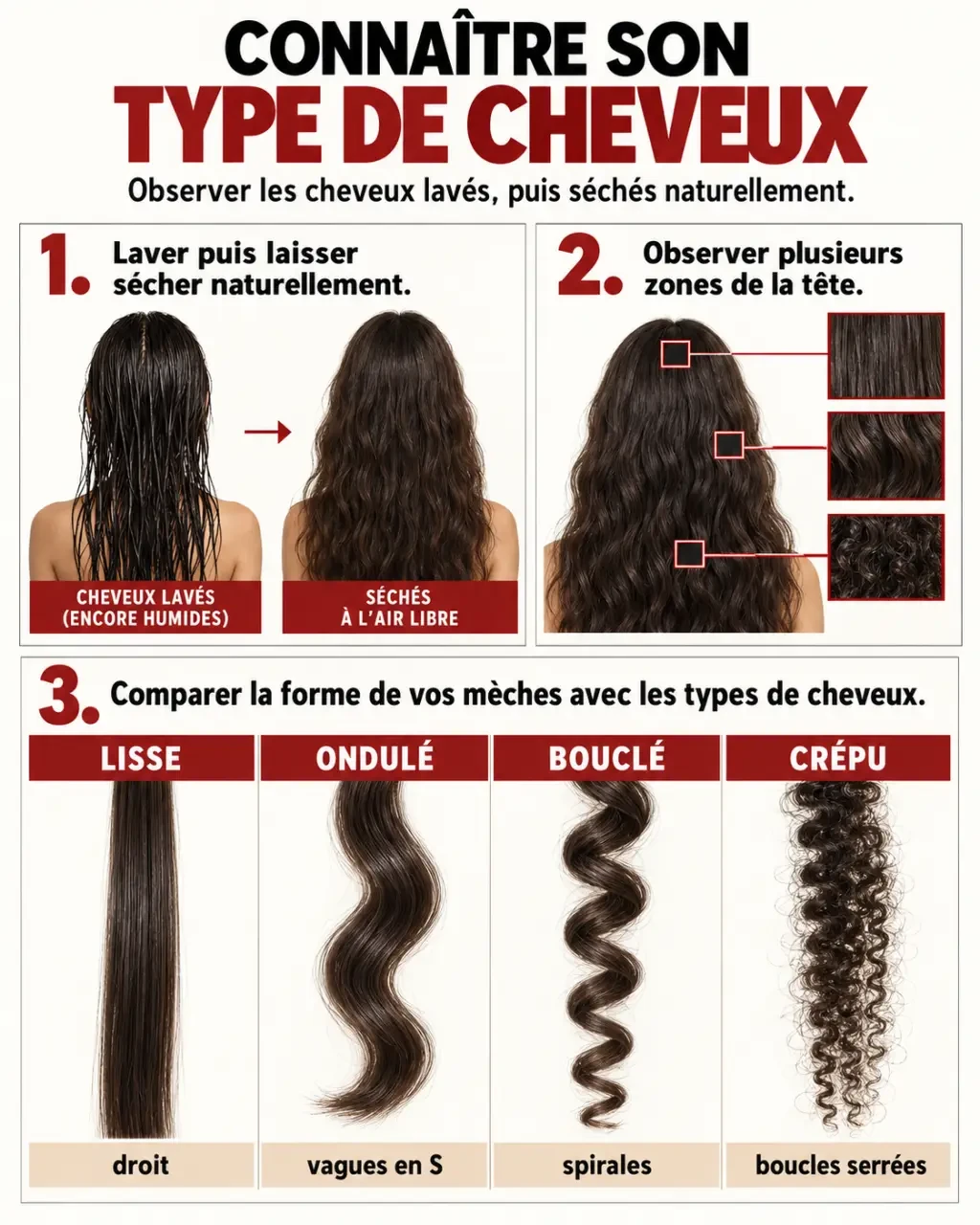 Illustration pour connaître son type de cheveux en observant les formes lisses, ondulées, bouclées et crépues